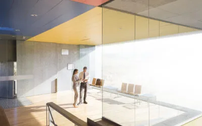 Paso a paso a la hora de instalar cristales con vinilos personalizados en una empresa